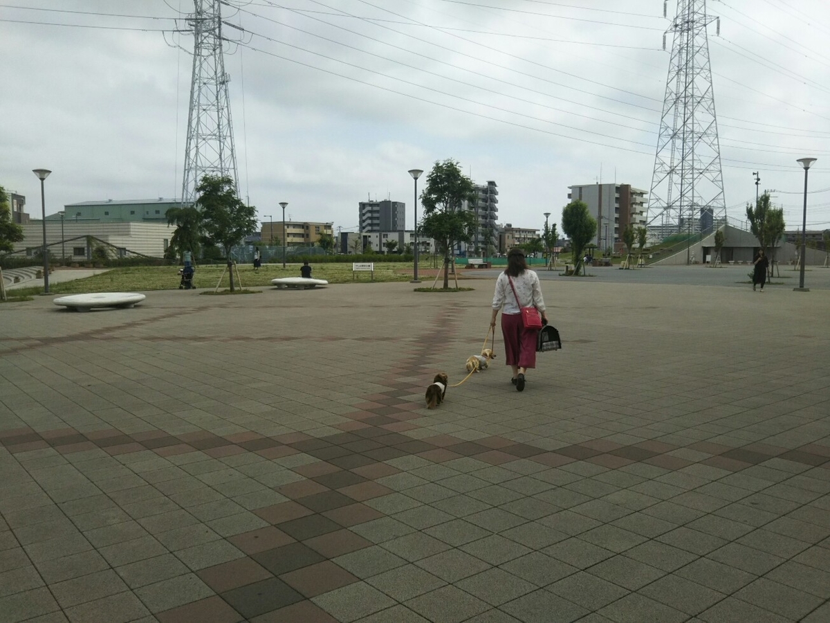 f:id:hirotaka72:20190608135444j:plain