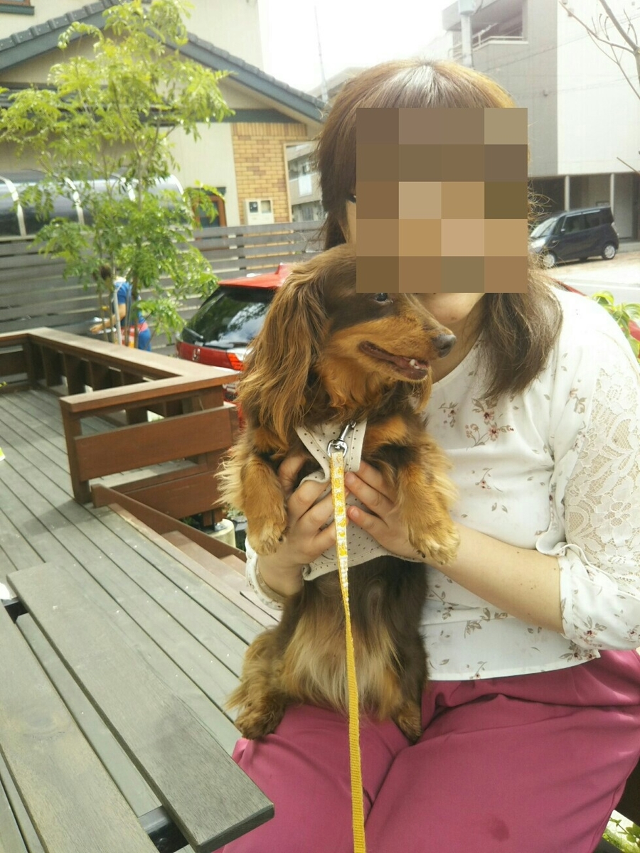 f:id:hirotaka72:20190608141125j:plain