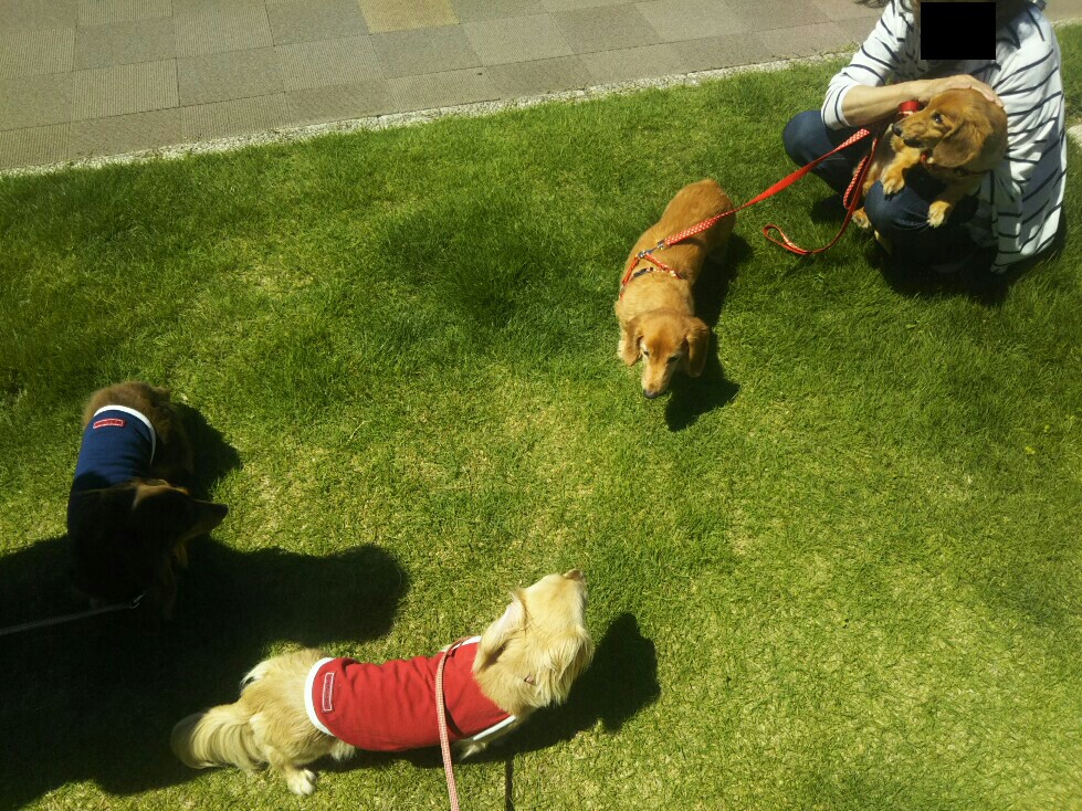 f:id:hirotaka72:20190616094716j:plain f:id:hirotaka72:20190616094716j:plain