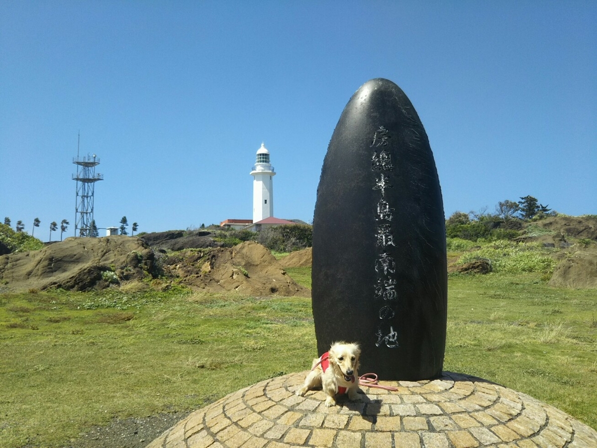 f:id:hirotaka72:20190616133347j:plain f:id:hirotaka72:20190616133347j:plain