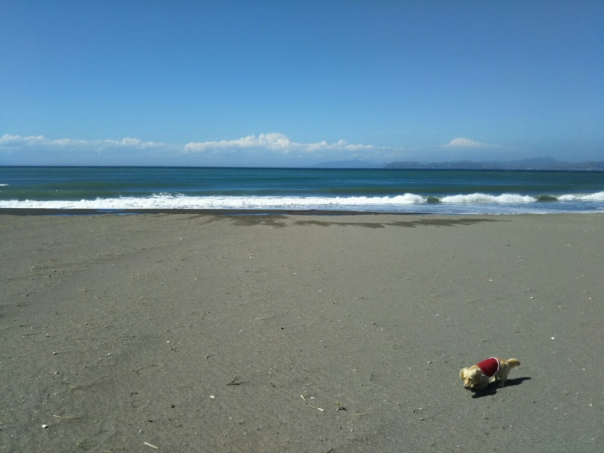 f:id:hirotaka72:20190616143344j:plain
