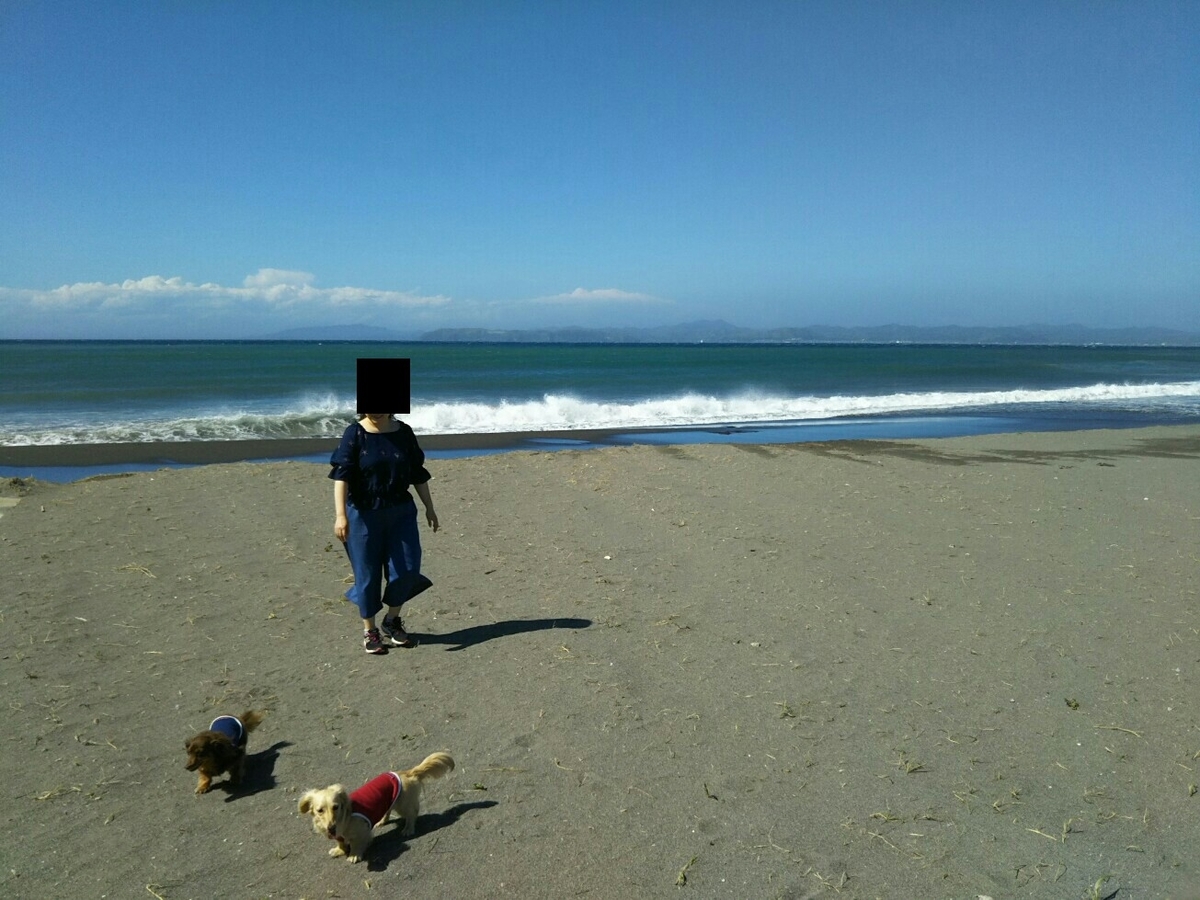 f:id:hirotaka72:20190616144050j:plain