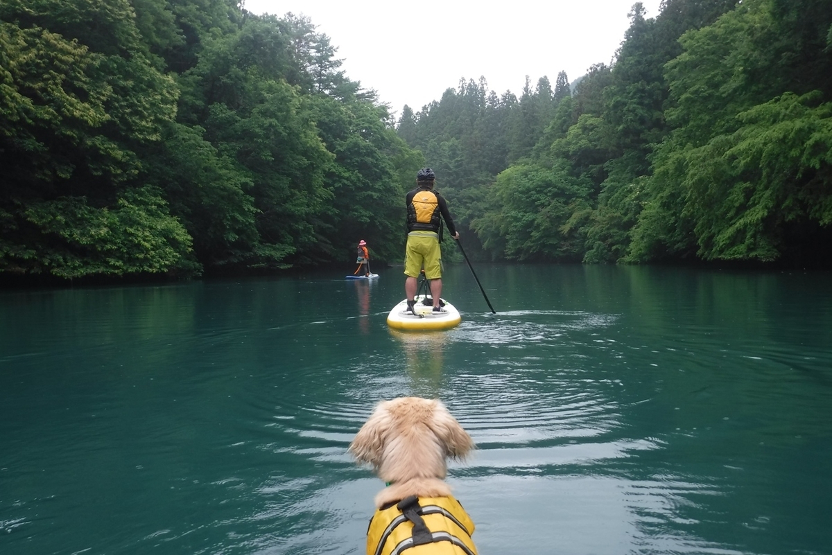 f:id:hirotaka72:20190622102317j:plain f:id:hirotaka72:20190622102317j:plain