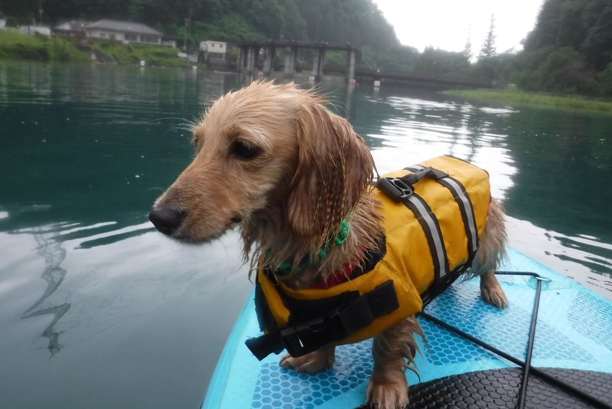 f:id:hirotaka72:20190622111822j:plain f:id:hirotaka72:20190622111822j:plain