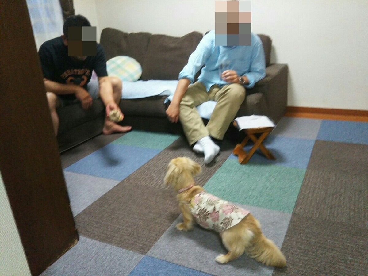f:id:hirotaka72:20190623190239j:plain