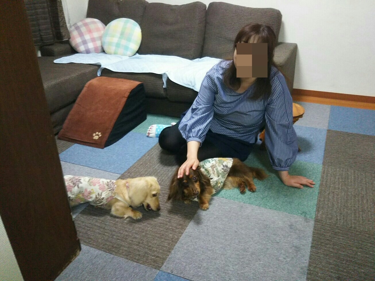 f:id:hirotaka72:20190623204256j:plain