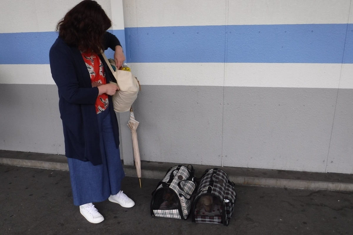 f:id:hirotaka72:20190629071620j:plain f:id:hirotaka72:20190629071620j:plain