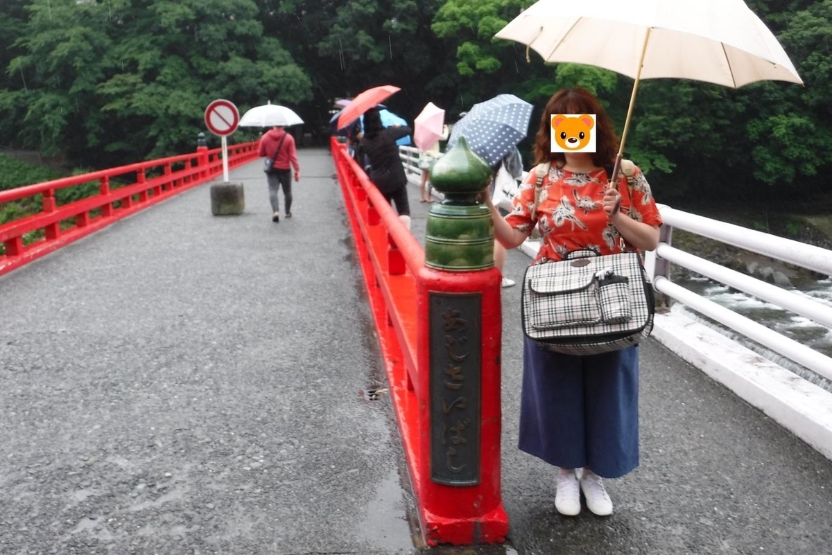 f:id:hirotaka72:20190629102826j:plain f:id:hirotaka72:20190629102826j:plain