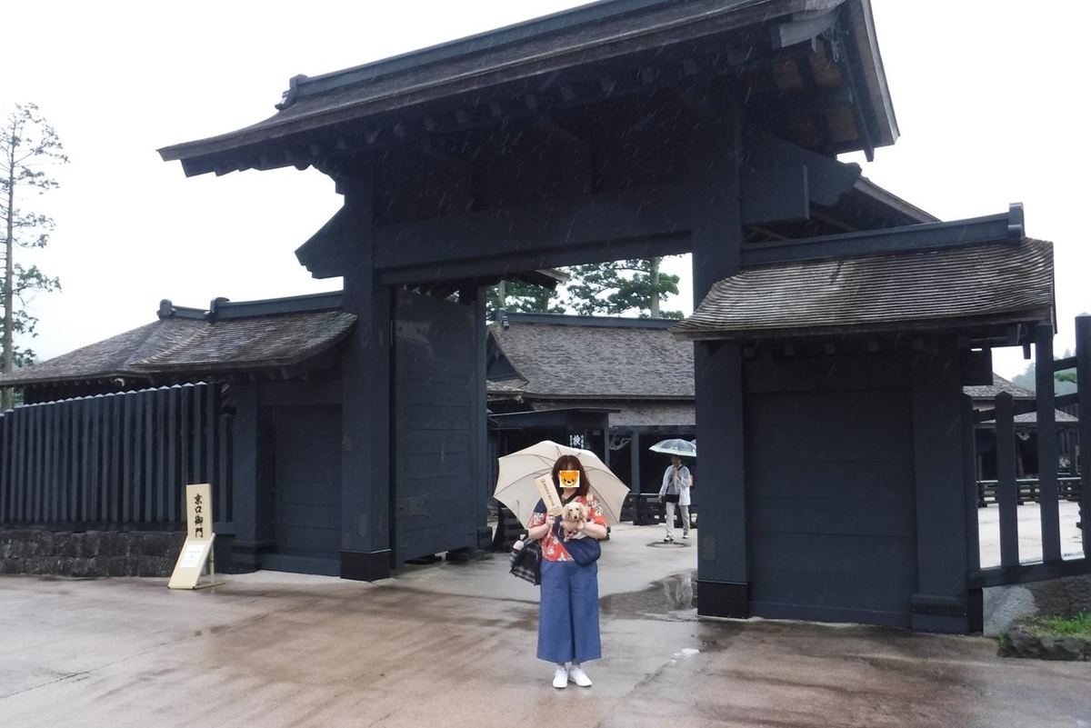 f:id:hirotaka72:20190629113303j:plain f:id:hirotaka72:20190629113303j:plain