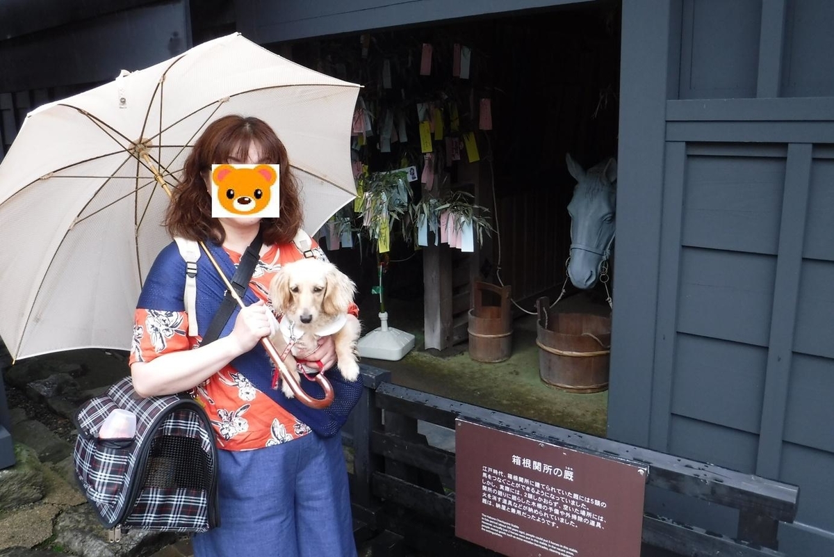 f:id:hirotaka72:20190629113434j:plain f:id:hirotaka72:20190629113434j:plain