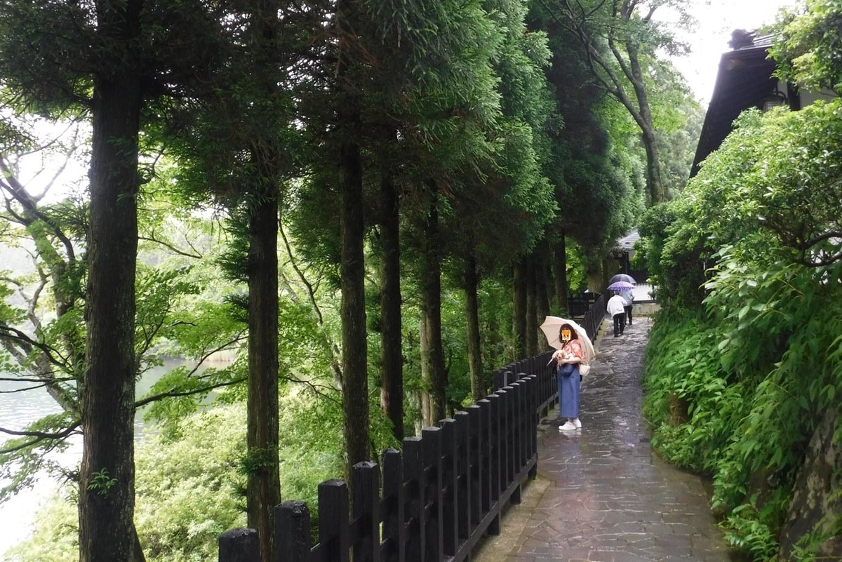 f:id:hirotaka72:20190629115014j:plain f:id:hirotaka72:20190629115014j:plain