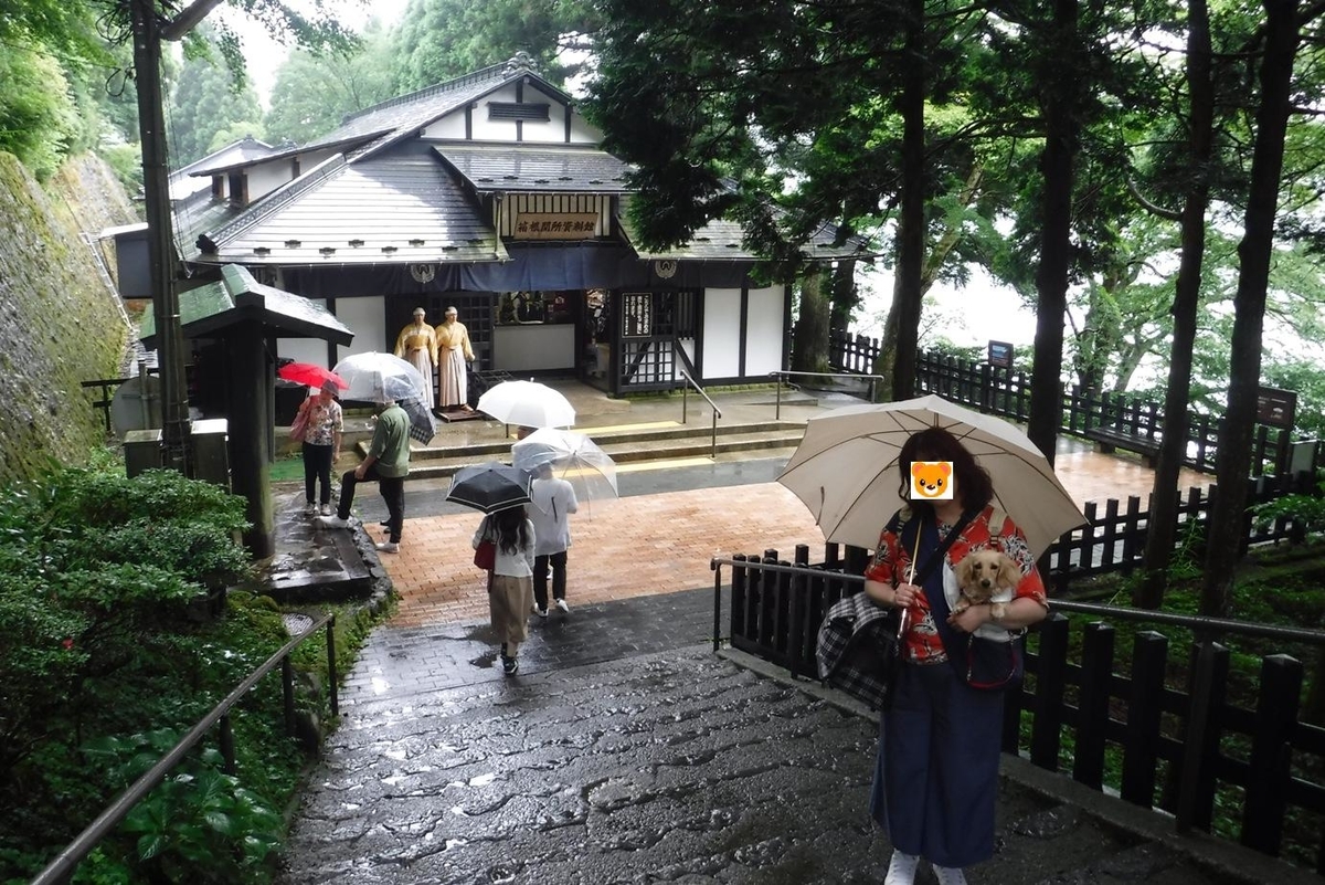 f:id:hirotaka72:20190629115948j:plain f:id:hirotaka72:20190629115948j:plain
