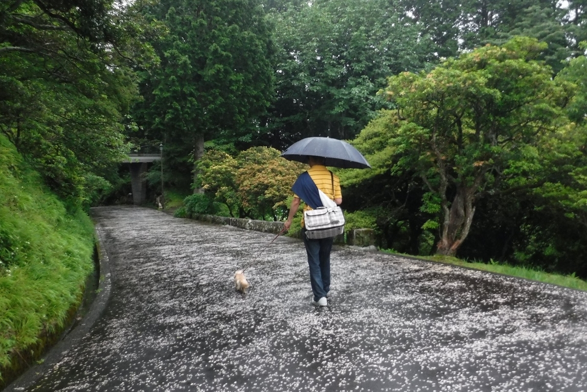 f:id:hirotaka72:20190629123519j:plain f:id:hirotaka72:20190629123519j:plain