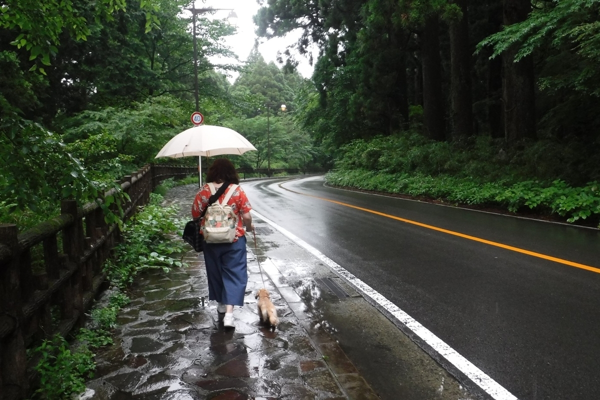 f:id:hirotaka72:20190629124503j:plain f:id:hirotaka72:20190629124503j:plain