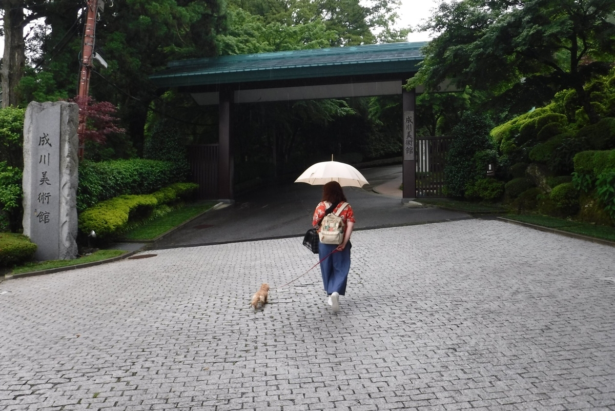 f:id:hirotaka72:20190629125805j:plain f:id:hirotaka72:20190629125805j:plain