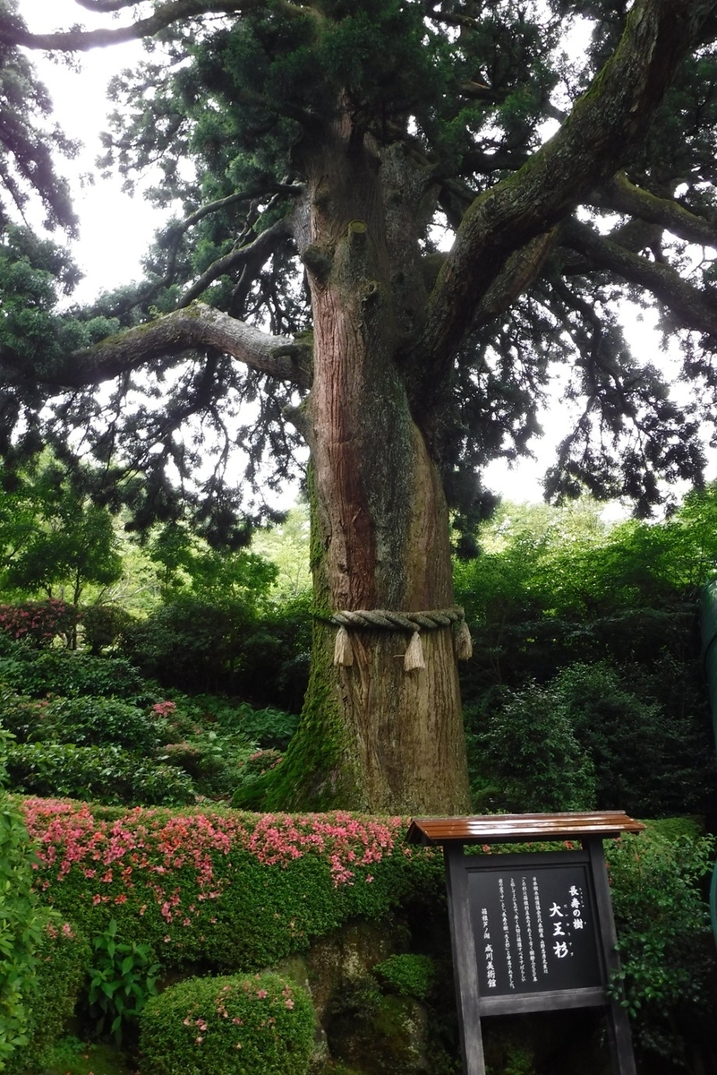 f:id:hirotaka72:20190629125936j:plain f:id:hirotaka72:20190629125936j:plain
