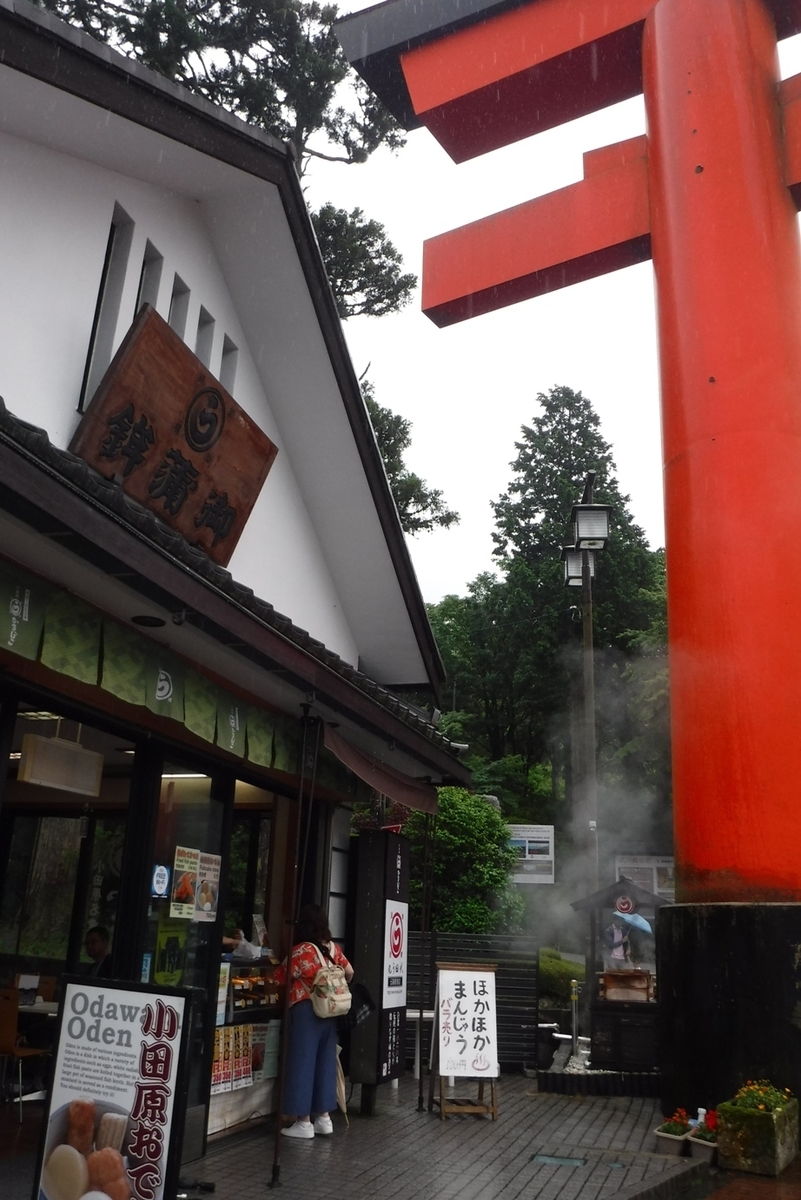 f:id:hirotaka72:20190629131009j:plain f:id:hirotaka72:20190629131009j:plain