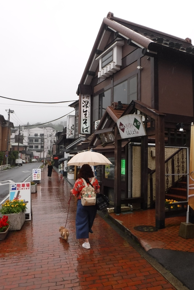 f:id:hirotaka72:20190629131038j:plain f:id:hirotaka72:20190629131038j:plain