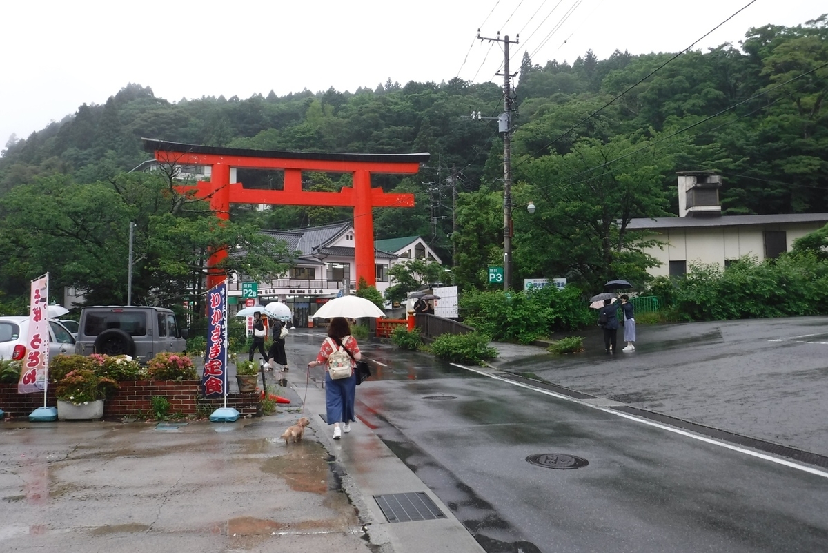 f:id:hirotaka72:20190629132924j:plain f:id:hirotaka72:20190629132924j:plain