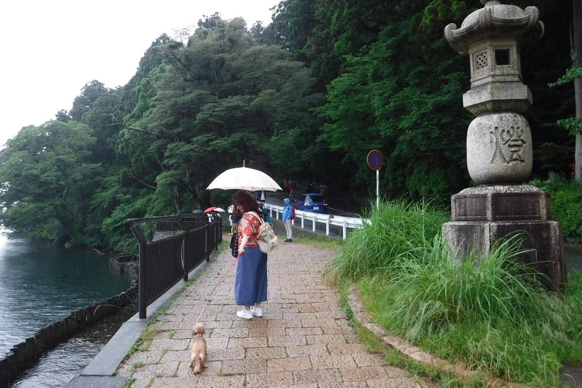 f:id:hirotaka72:20190629133236j:plain f:id:hirotaka72:20190629133236j:plain