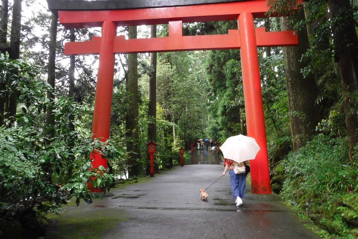 f:id:hirotaka72:20190629133525j:plain f:id:hirotaka72:20190629133525j:plain