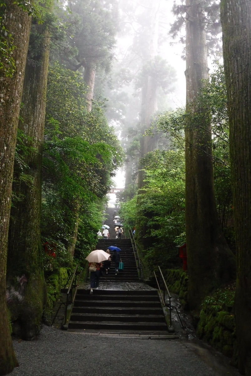 f:id:hirotaka72:20190629135312j:plain f:id:hirotaka72:20190629135312j:plain