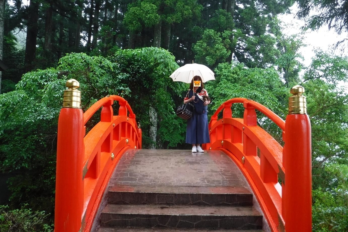 f:id:hirotaka72:20190629140639j:plain f:id:hirotaka72:20190629140639j:plain