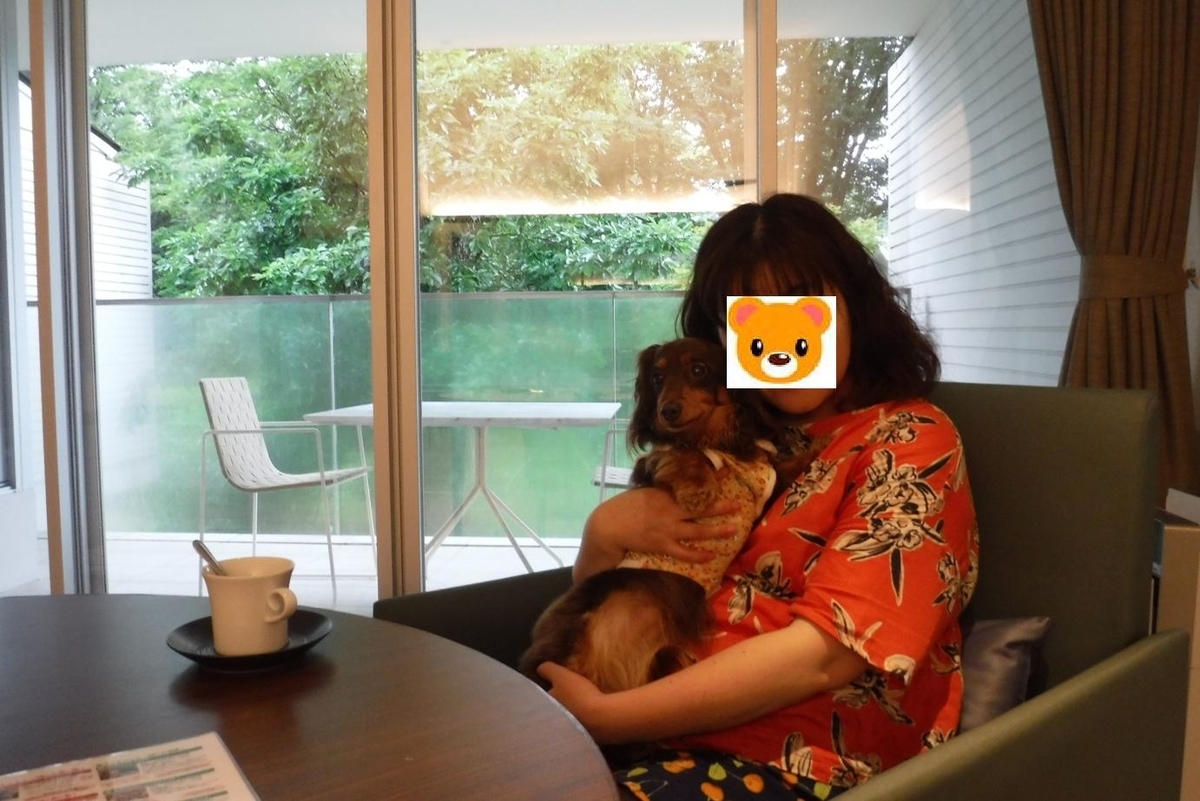 f:id:hirotaka72:20190629160729j:plain f:id:hirotaka72:20190629160729j:plain