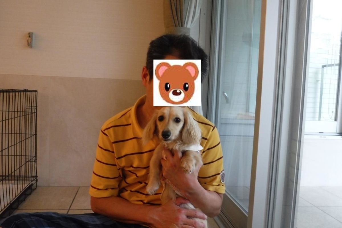 f:id:hirotaka72:20190629163916j:plain f:id:hirotaka72:20190629163916j:plain