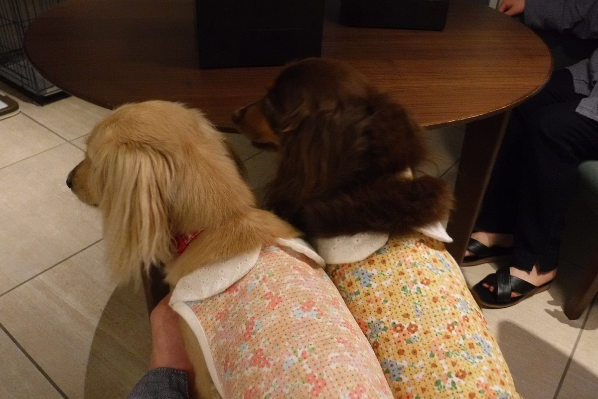 f:id:hirotaka72:20190629183552j:plain f:id:hirotaka72:20190629183552j:plain