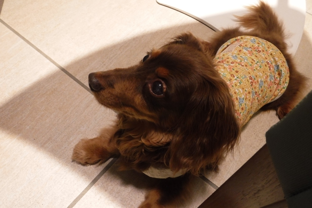 f:id:hirotaka72:20190629185650j:plain f:id:hirotaka72:20190629185650j:plain