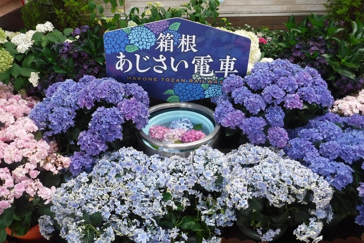 f:id:hirotaka72:20190630122001j:plain