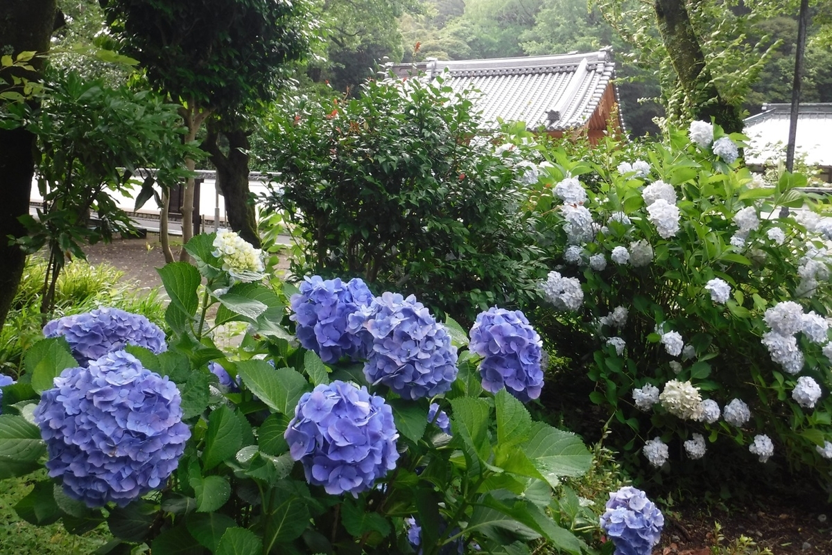 f:id:hirotaka72:20190630140453j:plain
