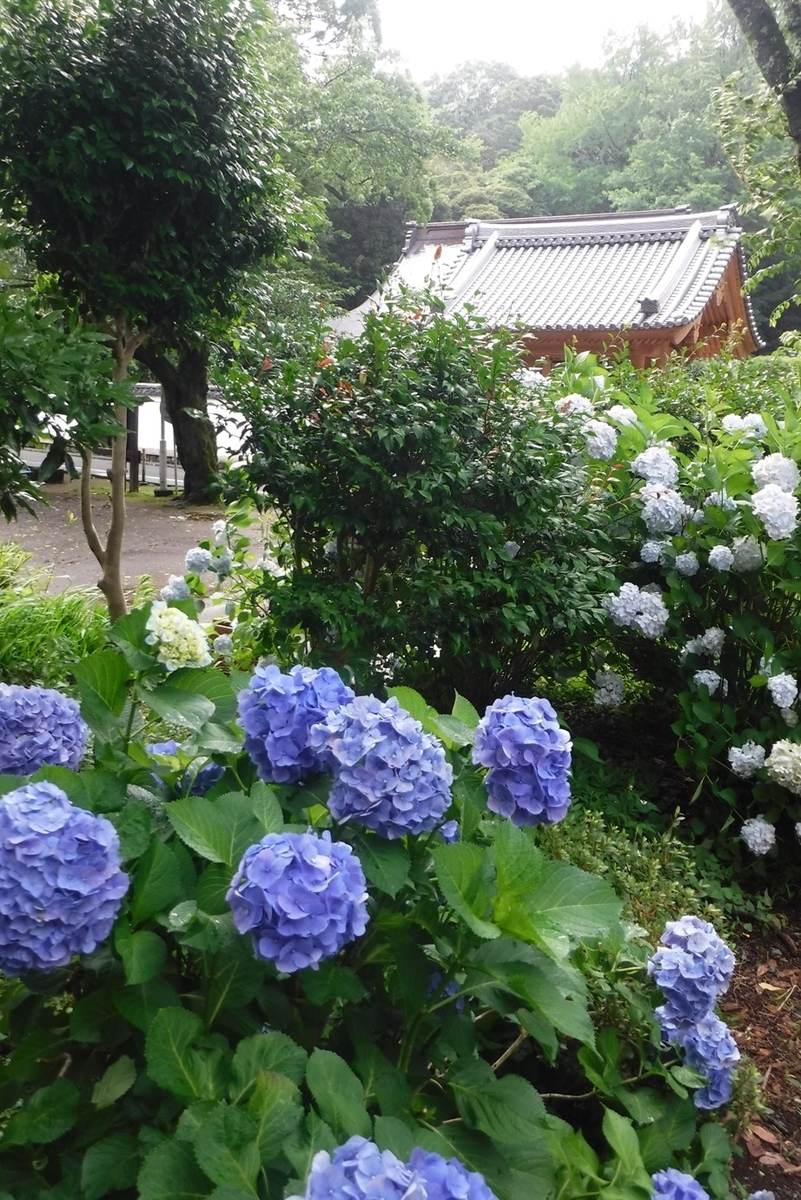 f:id:hirotaka72:20190630140459j:plain f:id:hirotaka72:20190630140459j:plain