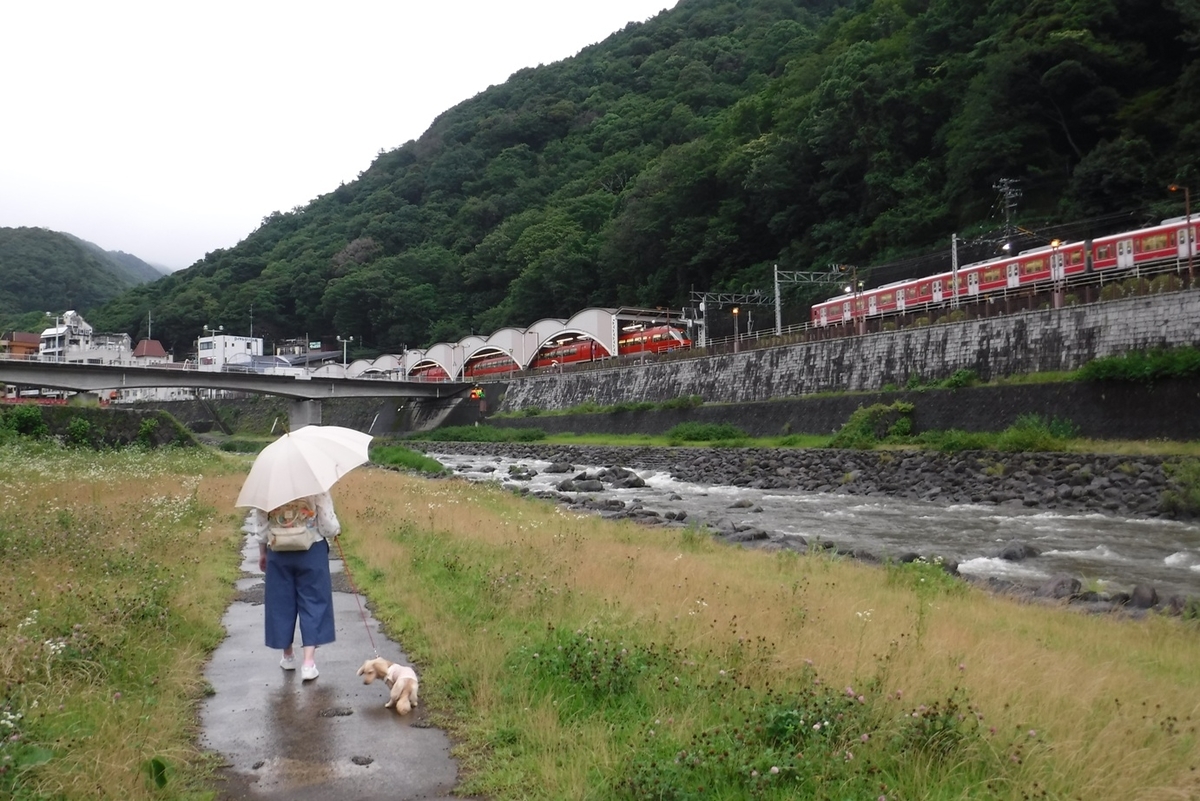 f:id:hirotaka72:20190630151142j:plain