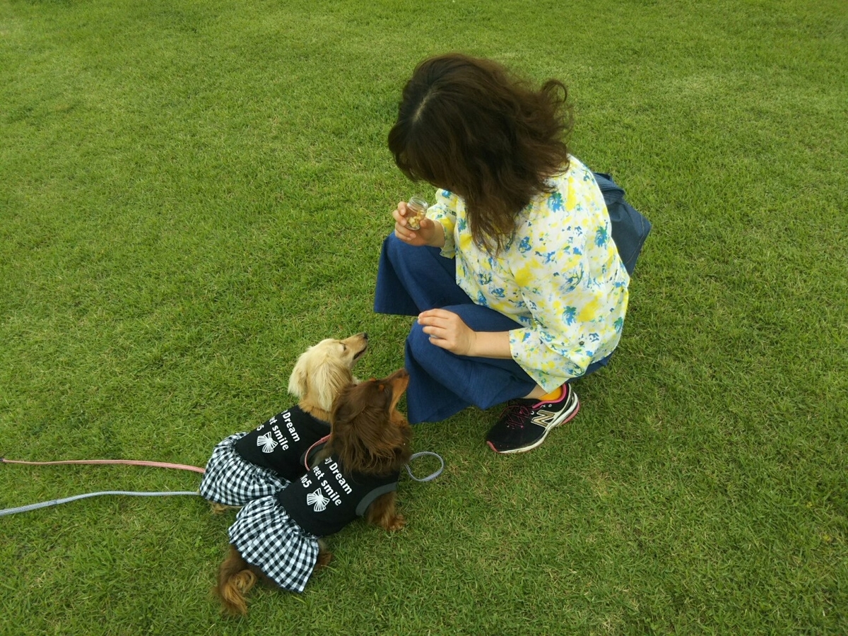 f:id:hirotaka72:20190703172746j:plain