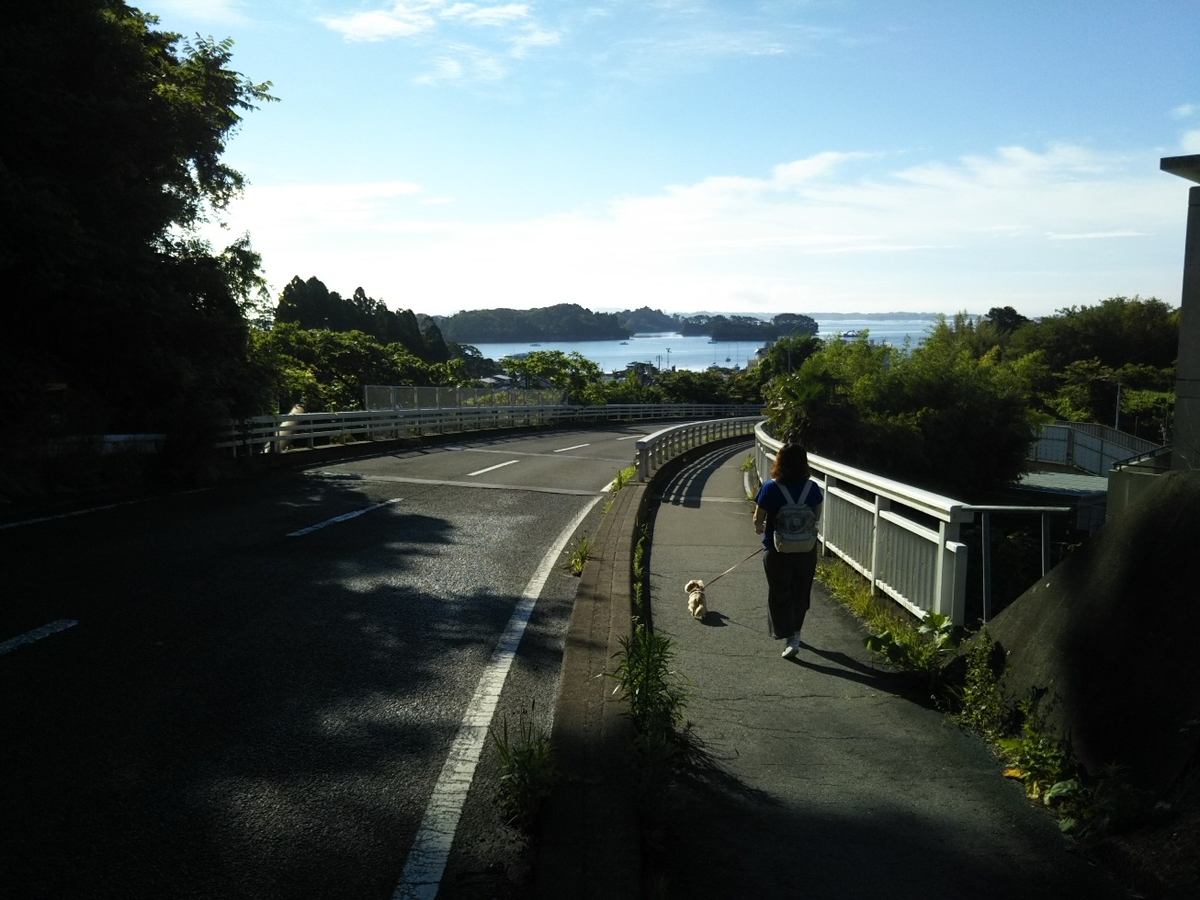f:id:hirotaka72:20190713065559j:plain