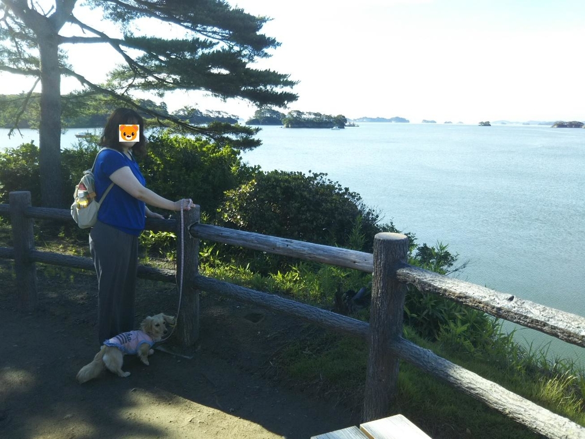 f:id:hirotaka72:20190713071535j:plain