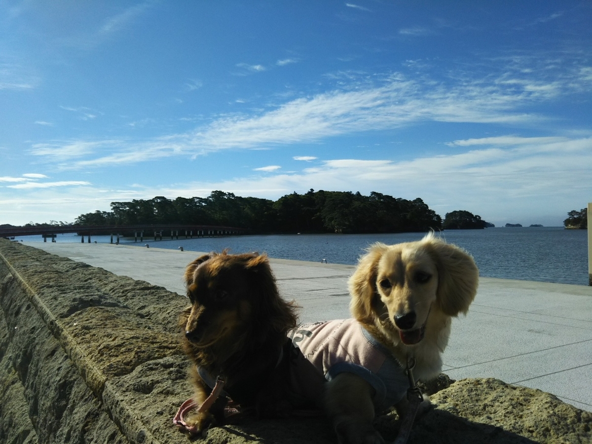 f:id:hirotaka72:20190713072756j:plain