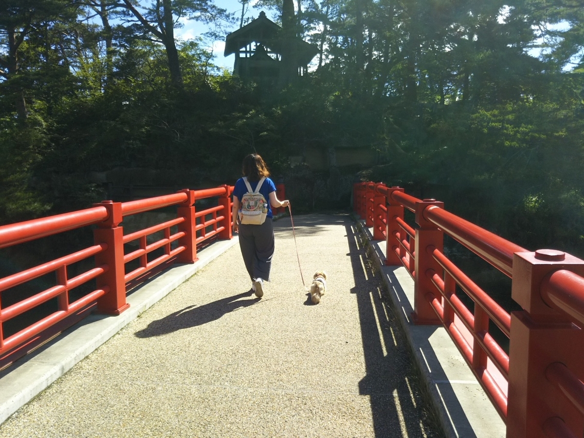 f:id:hirotaka72:20190713081138j:plain