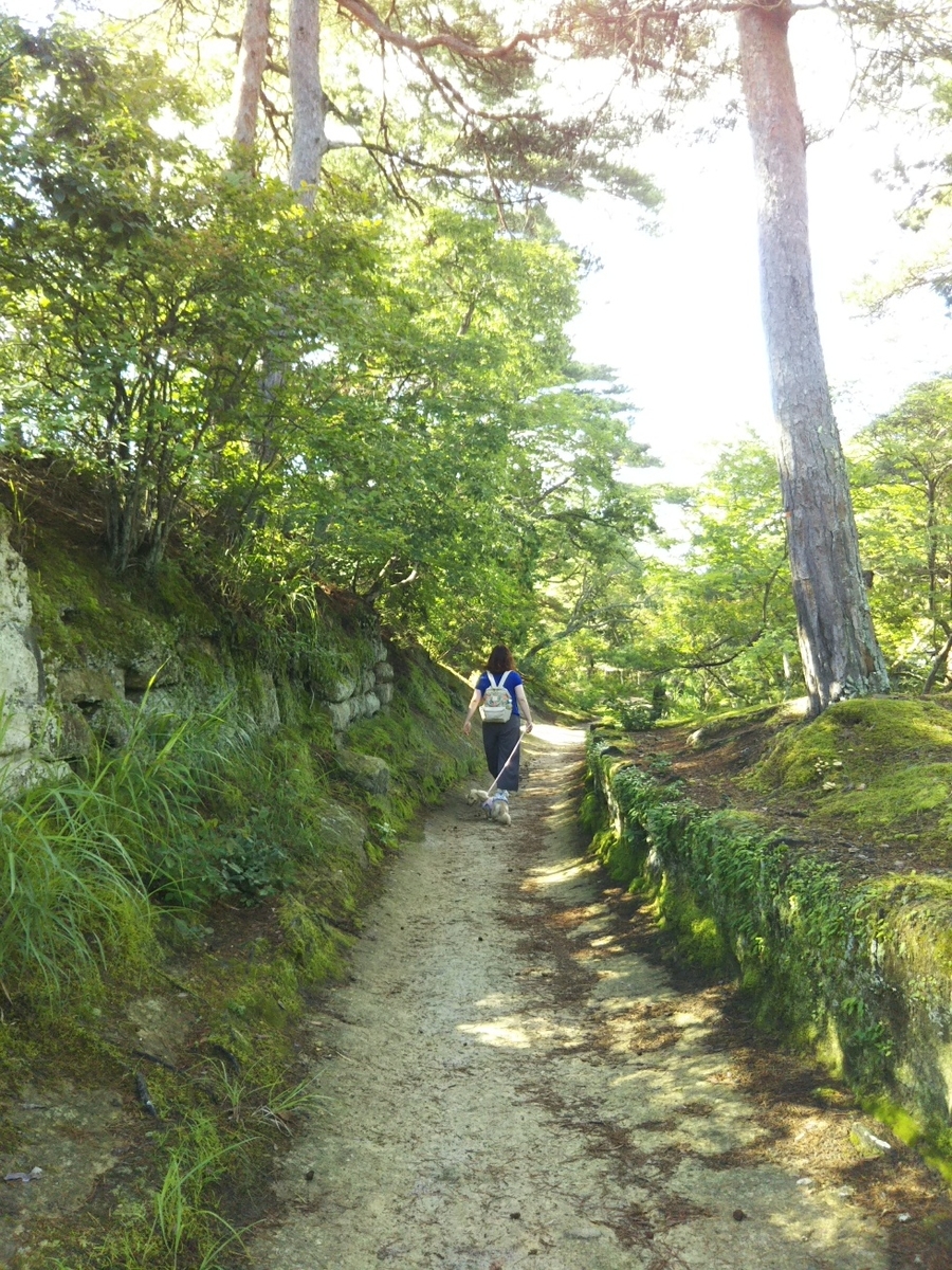 f:id:hirotaka72:20190713081321j:plain