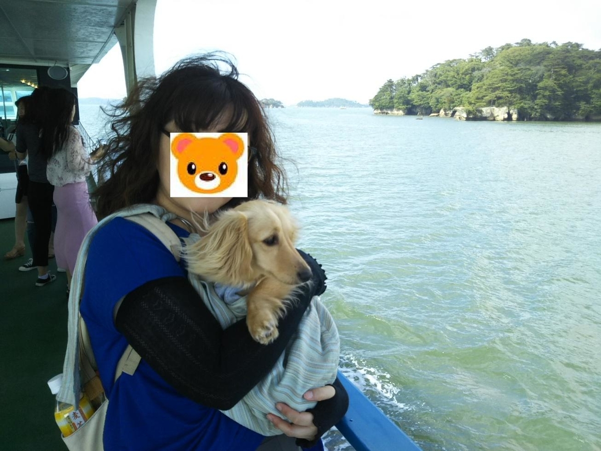f:id:hirotaka72:20190713091025j:plain