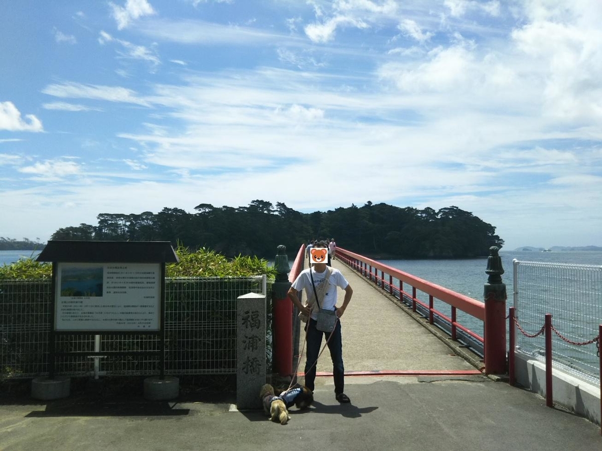 f:id:hirotaka72:20190713100631j:plain