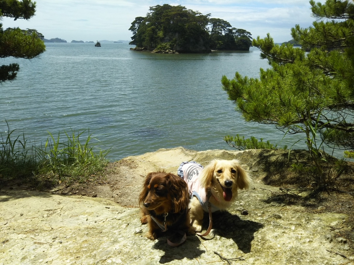 f:id:hirotaka72:20190713103417j:plain
