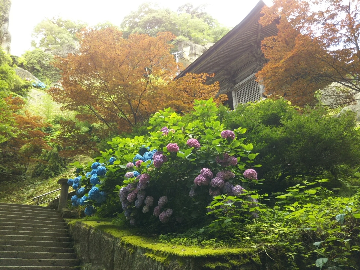 f:id:hirotaka72:20190715082500j:plain