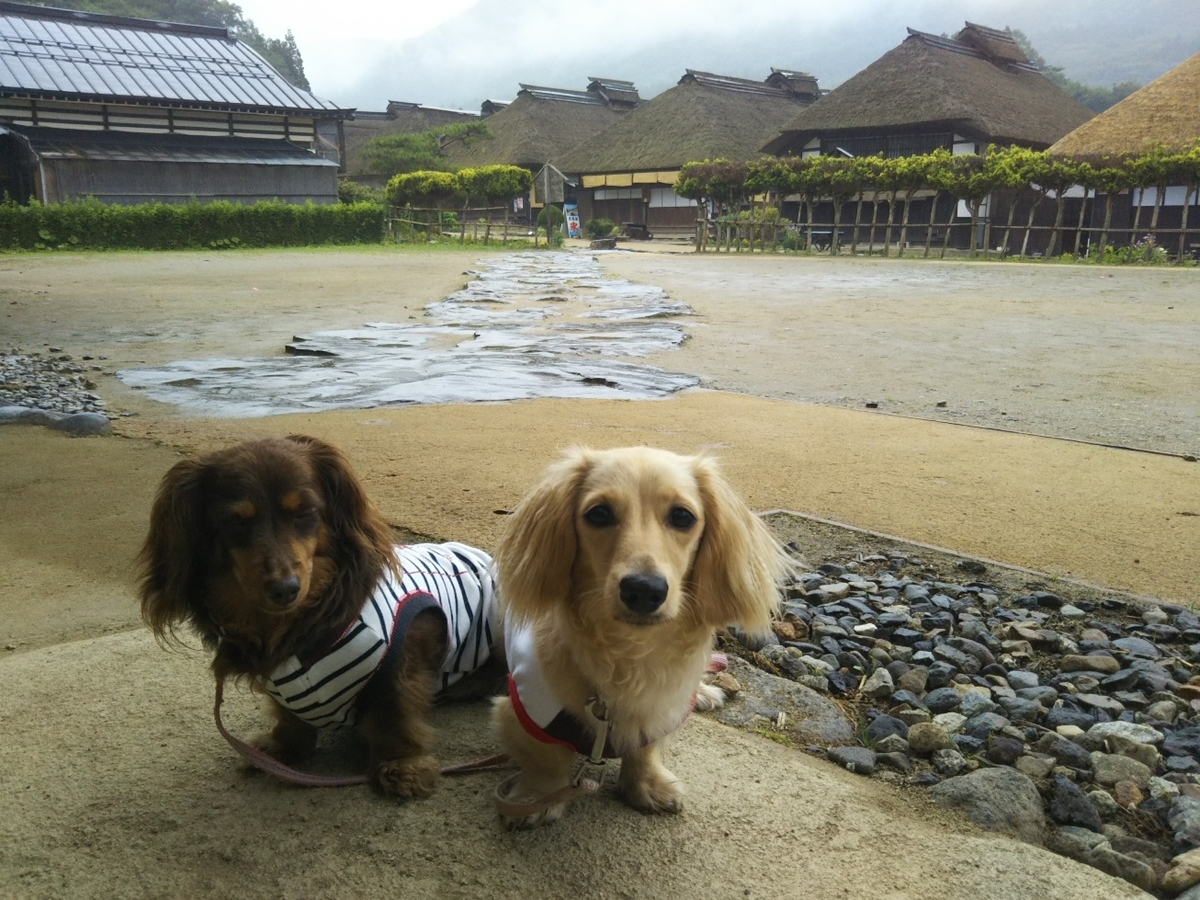 f:id:hirotaka72:20190715172938j:plain