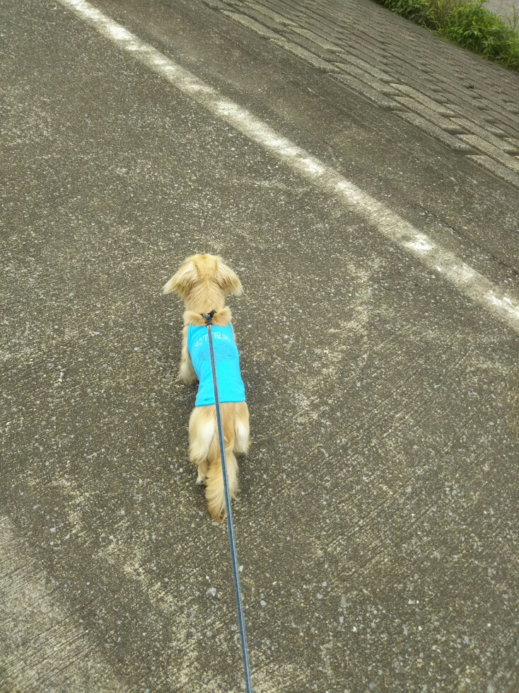 f:id:hirotaka72:20190720114101j:plain