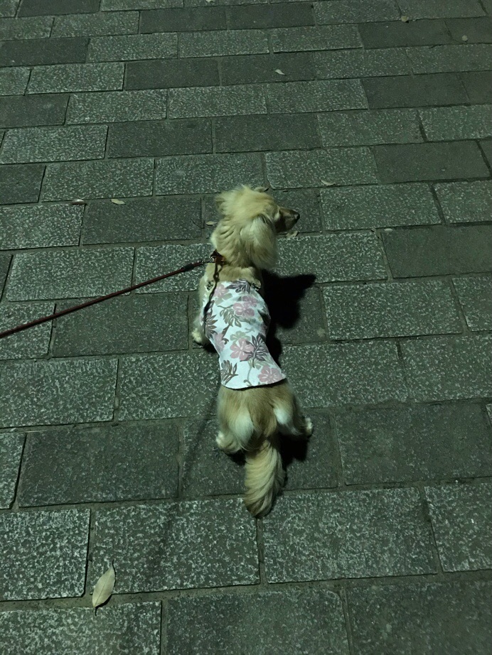 f:id:hirotaka72:20190725220943j:plain