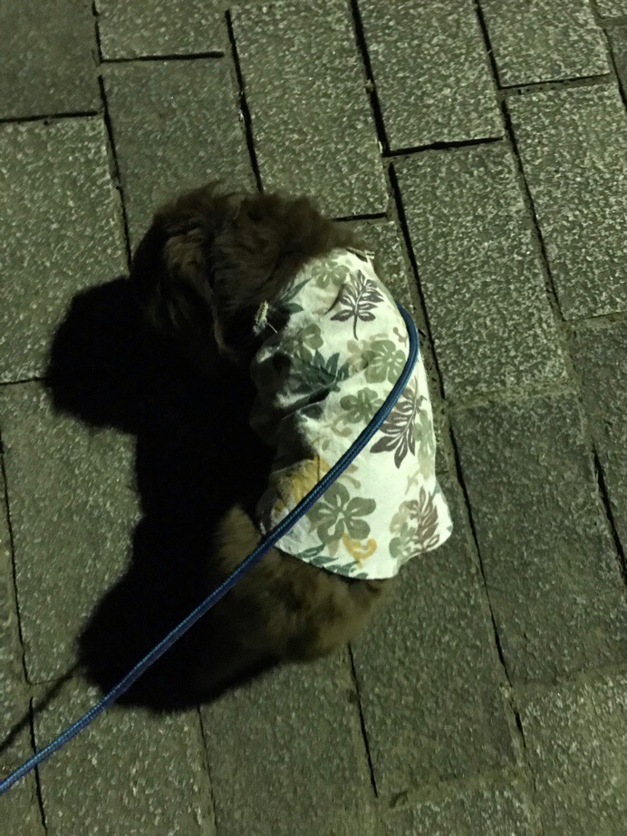 f:id:hirotaka72:20190725220953j:plain