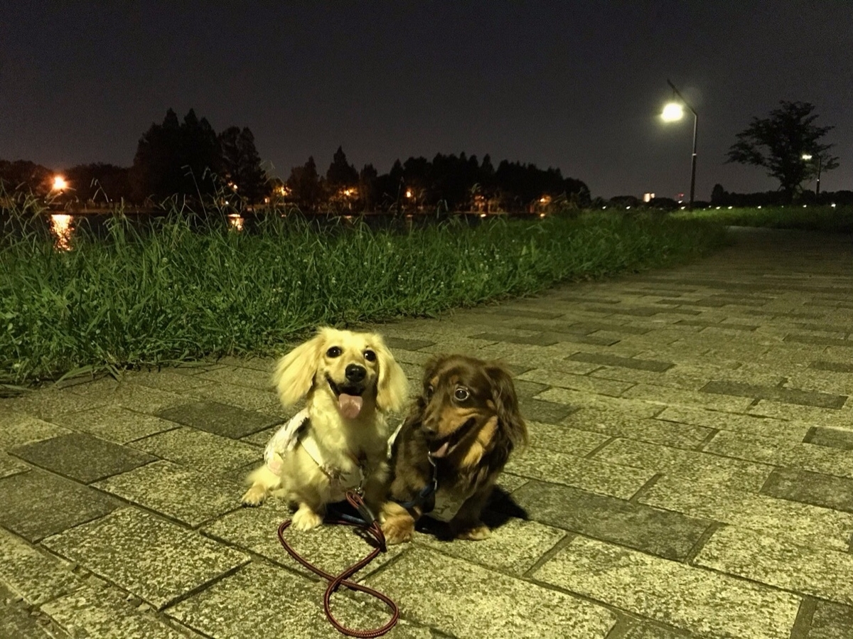 f:id:hirotaka72:20190725221013j:plain